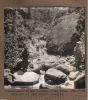west_slopes_of_sungei_singor.jpg